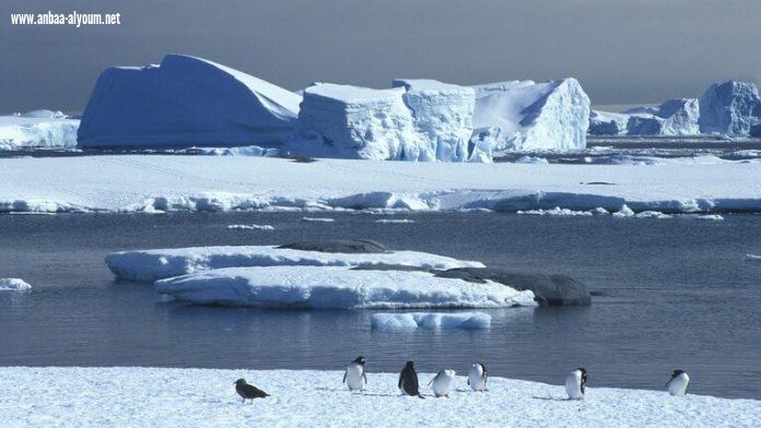 كم سيرتفع منسوب مياه المحيطات نتيجة ذوبان جليد القارة القطبية الجنوبية؟
