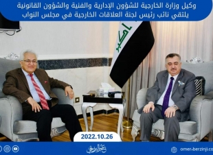 وكيل وزارة الخارجية للشؤون الإدارية والفنية والشؤون القانونية يلتقي نائب رئيس لجنة العلاقات الخارجية في مجلس النواب