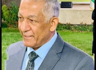  من يحكم العراق  ؟ الدكتور ناظم الربيعي .
